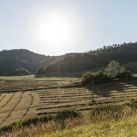 Agriturismo L'Antico Frutto Premilcuore Bagian luar foto