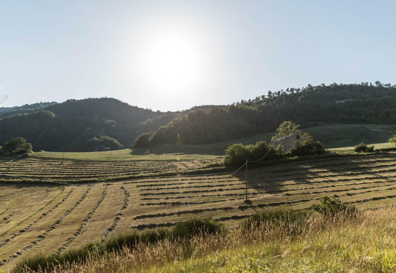 Agriturismo L'Antico Frutto Premilcuore Bagian luar foto