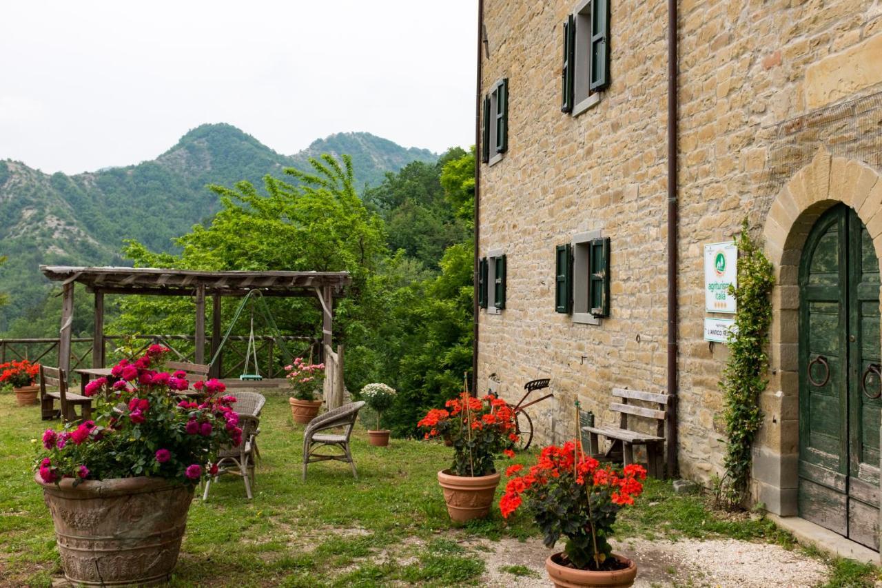 Agriturismo L'Antico Frutto Premilcuore Bagian luar foto