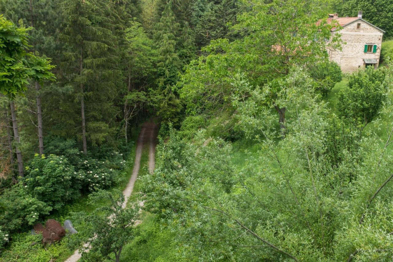 Agriturismo L'Antico Frutto Premilcuore Bagian luar foto
